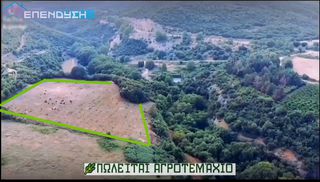 Αγροτεμάχια 12.937 τ.μ. για πώληση