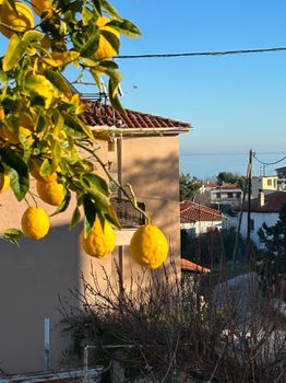 Detached home 86sqm for sale-Alexandroupoli » Makri