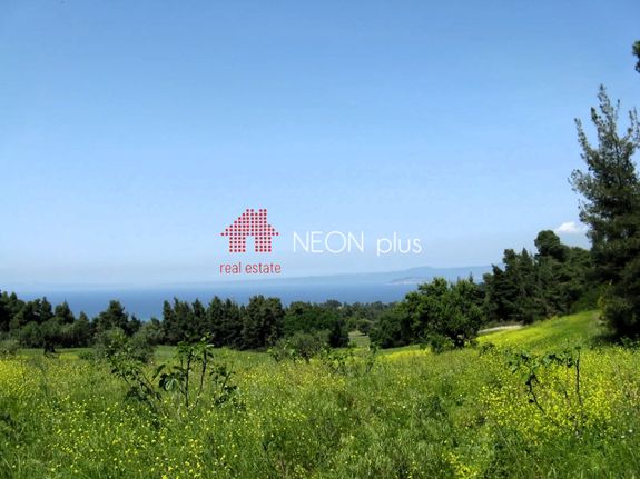 Αγροτεμάχια 11.000 τ.μ. για πώληση, Χαλκιδική, Παλλήνη