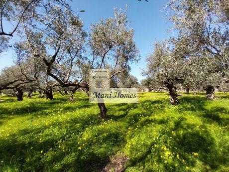 Land plot 2.237sqm for sale-Lefktros » Agios Nikolaos