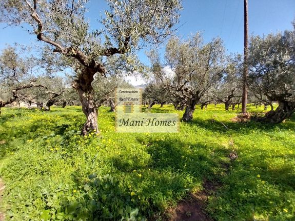Land plot 2.237 sqm for sale, Messinia, Lefktros