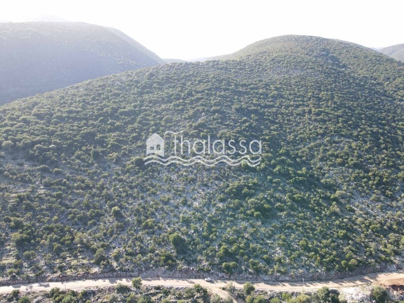 Οικόπεδο 4.000 τ.μ. προς πώληση, Σάμη