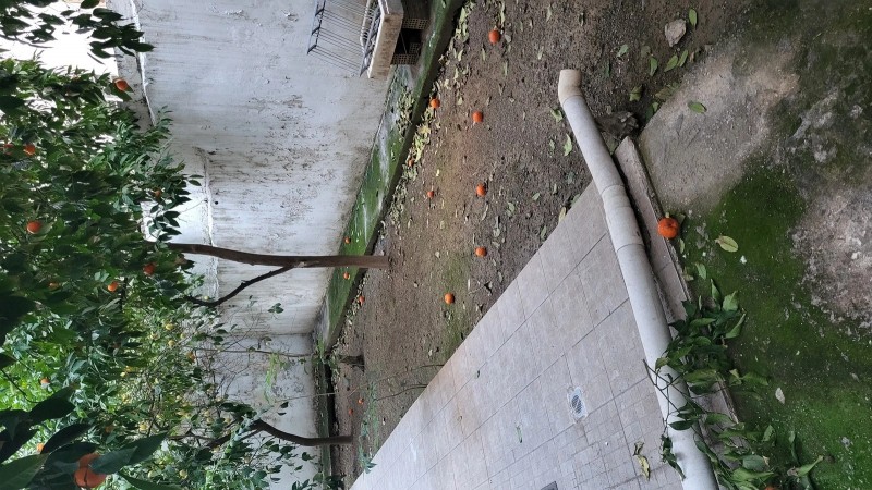 Αίθουσα 63 τ.μ. πρός πώληση, Αθήνα - Κέντρο, Ιλίσια