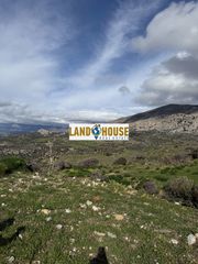 Αγροτεμάχια 8.500 τ.μ. για πώληση, Ν. Ρεθύμνου, Λάμπη-thumb-2
