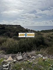 Αγροτεμάχια 4.000 τ.μ. για πώληση