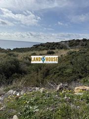 Αγροτεμάχια 4.000 τ.μ. για πώληση, Ν. Ρεθύμνου, Λάμπη-thumb-1