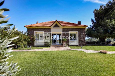 Detached home 300sqm for sale-Lesvos - Mitilini » Agia Kyriaki