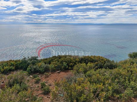 Αγροτεμάχια 14.500τ.μ. για πώληση-Μουδανιά » Νέα ποτίδαια