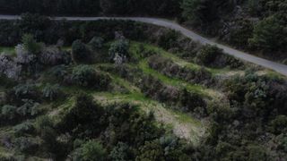 Αγροτεμάχια 4.196 τ.μ. για πώληση, Ν. Λευκάδας, Λευκάδα-thumb-6