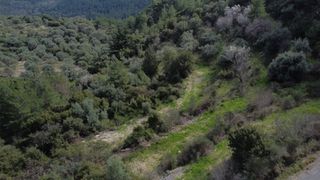Αγροτεμάχια 4.196 τ.μ. για πώληση, Ν. Λευκάδας, Λευκάδα-thumb-4