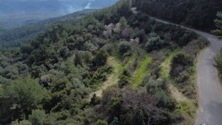 Αγροτεμάχια 4.196 τ.μ. για πώληση, Ν. Λευκάδας, Λευκάδα-thumb-13