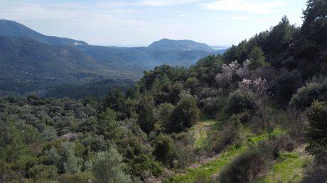 Parcel 4.196sqm for sale-Lefkada » Ellomeno