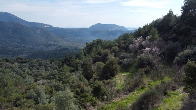 Parcel 4.196 sqm for sale, Lefkada Prefecture, Lefkada