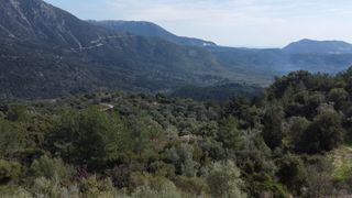 Αγροτεμάχια 4.196 τ.μ. για πώληση, Ν. Λευκάδας, Λευκάδα-thumb-1