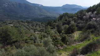 Αγροτεμάχια 4.196 τ.μ. για πώληση, Ν. Λευκάδας, Λευκάδα-thumb-2