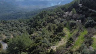 Αγροτεμάχια 4.196 τ.μ. για πώληση, Ν. Λευκάδας, Λευκάδα-thumb-14