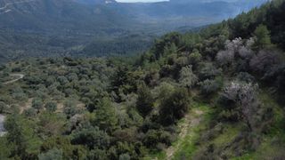 Αγροτεμάχια 4.196 τ.μ. για πώληση, Ν. Λευκάδας, Λευκάδα-thumb-16