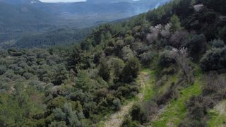 Αγροτεμάχια 4.196 τ.μ. για πώληση, Ν. Λευκάδας, Λευκάδα-thumb-15
