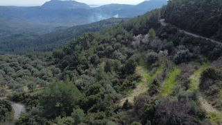 Αγροτεμάχια 4.196 τ.μ. για πώληση, Ν. Λευκάδας, Λευκάδα-thumb-12