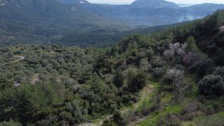 Αγροτεμάχια 4.196 τ.μ. για πώληση, Ν. Λευκάδας, Λευκάδα-thumb-5