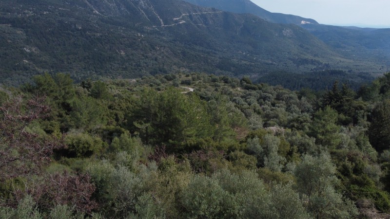 Αγροτεμάχια 4.196 τ.μ. πρός πώληση, Ν. Λευκάδας, Λευκάδα