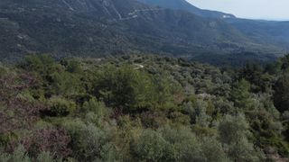 Αγροτεμάχια 4.196 τ.μ. για πώληση, Ν. Λευκάδας, Λευκάδα-thumb-3