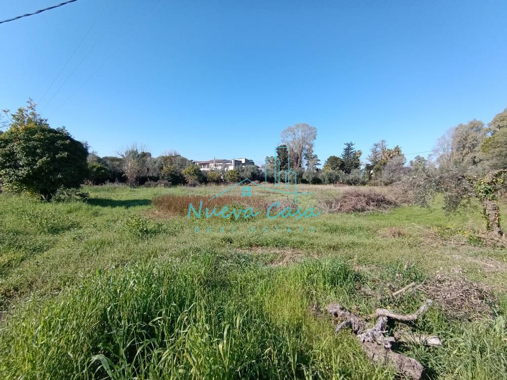 Οικόπεδο 4.040 τ.μ. πρός πώληση, Αχαΐα, Παραλία
