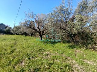 Οικόπεδο 4.040 τ.μ. για πώληση, Αχαΐα, Παραλία-thumb-7