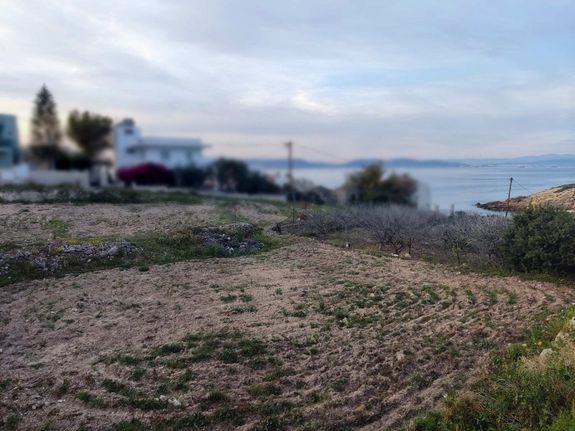 Οικόπεδο 1.568 τ.μ. για πώληση, Νησιά Αργοσαρωνικού, Αίγινα
