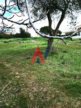 Οικόπεδο 721τ.μ. για πώληση-Γέρακας » Δέση