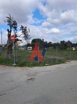 Οικόπεδο 896τ.μ. για πώληση-Παλλήνη » Κάτω λεοντάρι