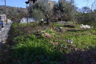 Οικόπεδο 763 τ.μ. για πώληση, Θεσπρωτία, Σύβοτα-thumb-14