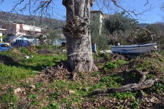 Οικόπεδο 763 τ.μ. για πώληση, Θεσπρωτία, Σύβοτα-thumb-19