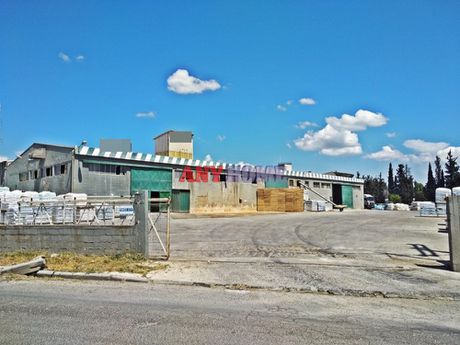 Αποθήκη 1.045 τ.μ. για ενοικίαση
