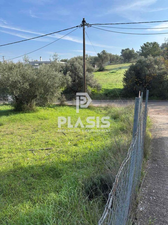 Οικόπεδο 986 τ.μ. προς πώληση, Άγιος Μηνάς Ανθηδώνος