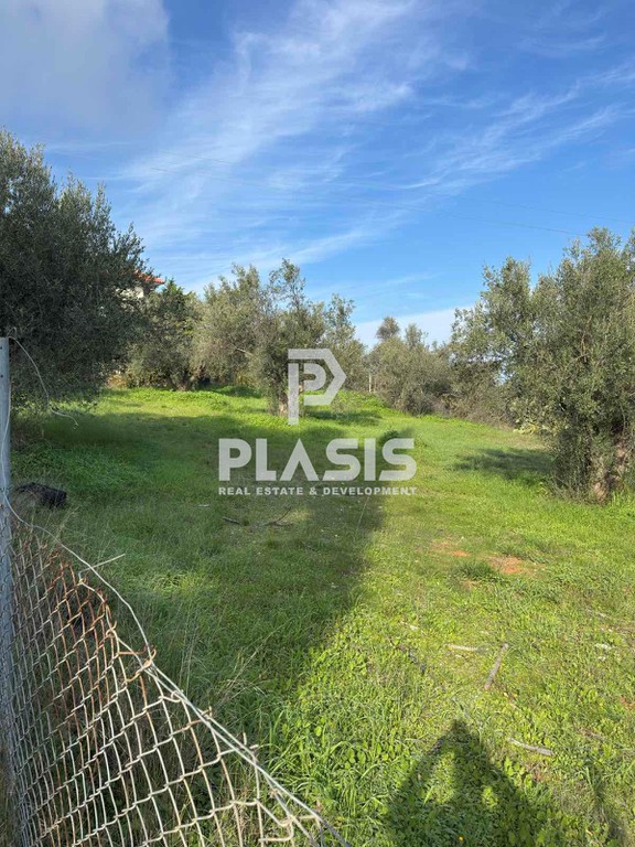 Οικόπεδο 986 τ.μ. προς πώληση, Άγιος Μηνάς Ανθηδώνος