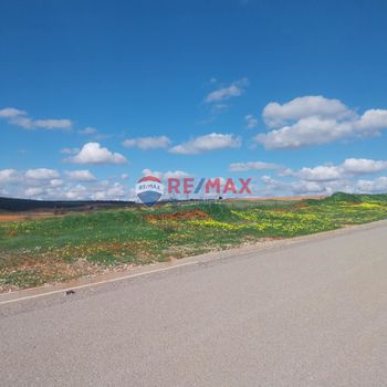 Parcel 4.618,78sqm for sale-Arkalochori