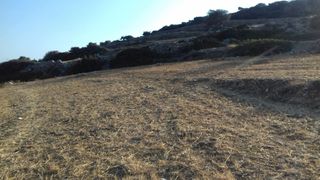 Αγροτεμάχια 12.082 τ.μ. για πώληση, Κυκλάδες, Πάρος-thumb-10