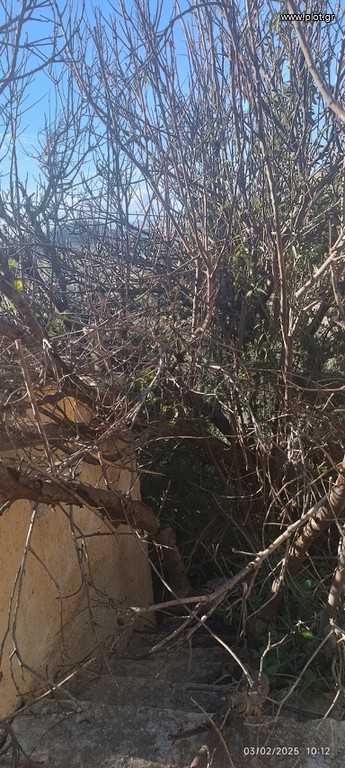 Μονοκατοικία 70 τ.μ. πρός πώληση, Ν. Λασιθίου, Ιεράπετρα