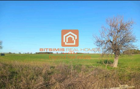 Parcel 11.000sqm for sale-Michaniona » Aggelochori