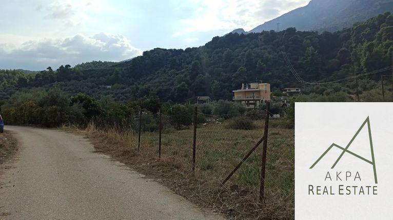 Land plot 2.335 sqm for sale, Phthiotis, Agios Konstantinos