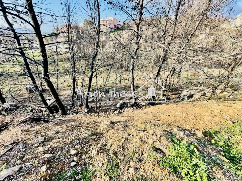 Οικόπεδο 500 τ.μ. πρός πώληση, Αττική - Υπόλοιπο, Πικέρμι