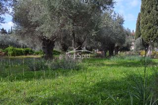 Αγροτεμάχια 5.608 τ.μ. πρός πώληση, Θεσπρωτία, Σύβοτα-thumb-5