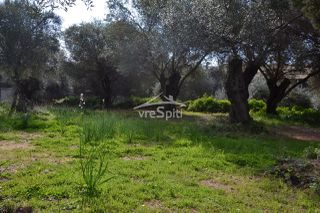 Αγροτεμάχια 5.608 τ.μ. πρός πώληση, Θεσπρωτία, Σύβοτα-thumb-7