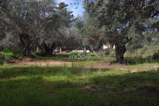Αγροτεμάχια 5.608 τ.μ. πρός πώληση, Θεσπρωτία, Σύβοτα-thumb-8