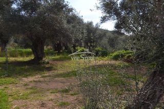 Αγροτεμάχια 5.608 τ.μ. πρός πώληση, Θεσπρωτία, Σύβοτα-thumb-9