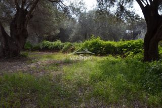 Αγροτεμάχια 5.608 τ.μ. πρός πώληση, Θεσπρωτία, Σύβοτα-thumb-14