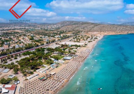 Διαμέρισμα 145τ.μ. για πώληση-Βάρη- βάρκιζα » Ασύρματος αλίανθου