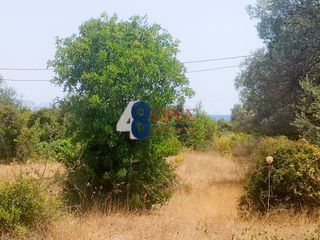 Οικόπεδο 9.900 τ.μ. για πώληση, Αργολίδα, Κρανίδι-thumb-3