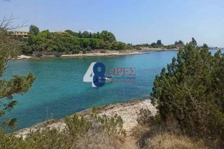 Οικόπεδο 9.900 τ.μ. για πώληση